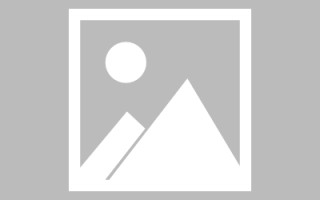 新安初始网页设计是什么（网页的原始）